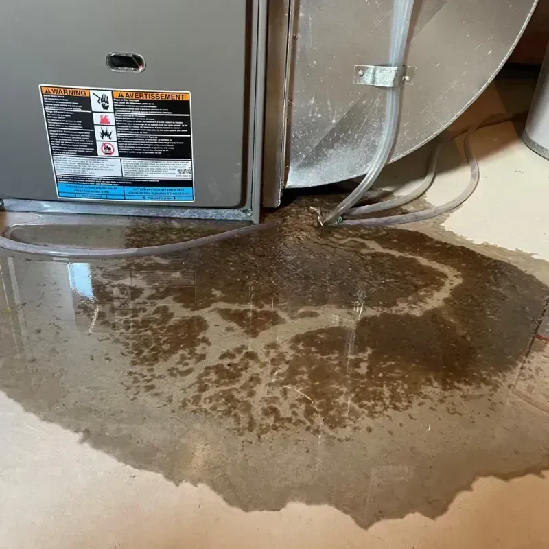 Appliance Leak Cleanup in Bellwood, VA